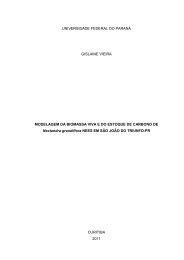 Dissertação em PDF - departamento de engenharia florestal - ufpr ...