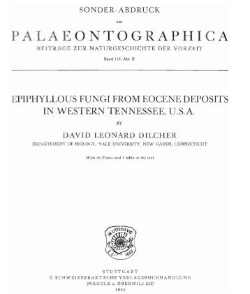 epiphyllous fungi from eocene deposits in western tennessee, usa