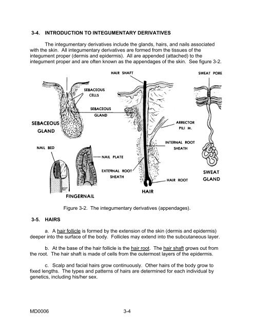 md0006 - BASIC HUMAN ANATOMY.pdf - Raems.com