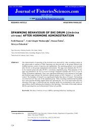 SPAWNING BEHAVIOUR OF SHI DRUM (Umbrina cirrosa) AFTER ...