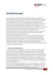 Dampferzeuger - Axpo-Holz