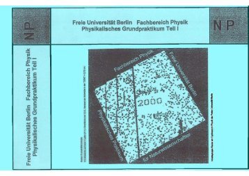 NP - Skript - Fachbereich Physik - Freie Universität Berlin