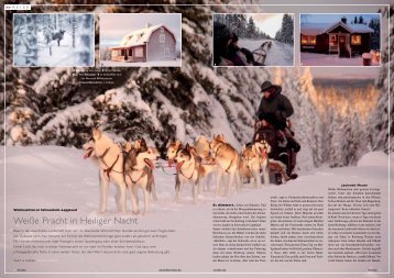 Weihnachten in Schwedisch-Lappland Arvidsjaur - Winterkurier