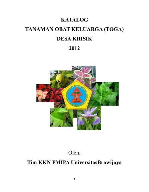 Katalog Toga Wordpress Wordpress