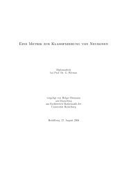 Eine Metrik zur Klassifizierung von Neuronen