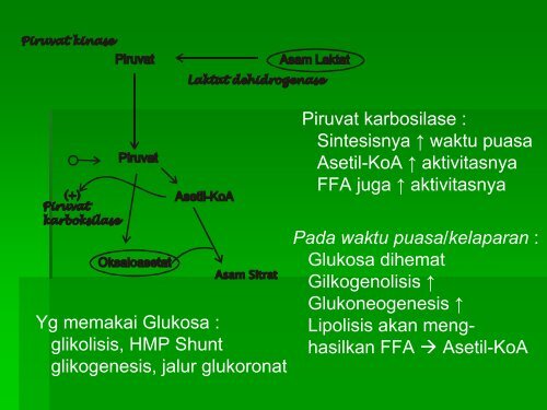 7 Heksosamin kontro met PDF