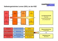 Didaktisches Modell SOL 2012.pdf