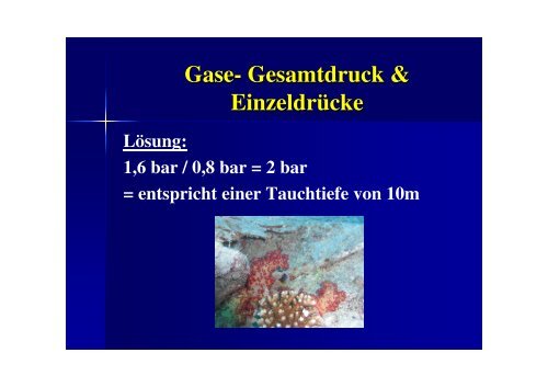 Tauchen – Definition und seine Physik - VIP-Divepoint