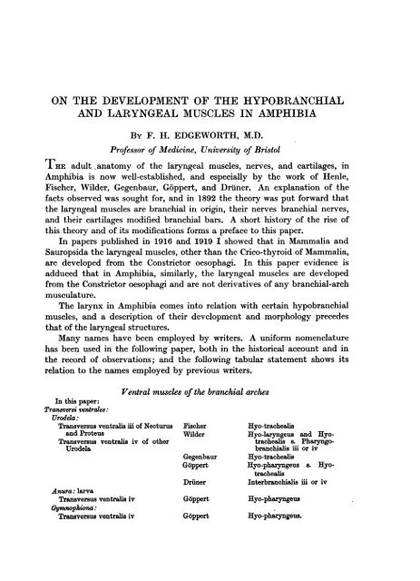 on the development of the hypobranchial and laryngeal muscles in ...
