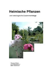 Heimische Pflanzen & Listen - Stiftung Wirtschaft und Ökologie SWO