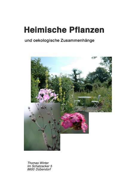 Heimische Pflanzen & Listen - Stiftung Wirtschaft und Ökologie SWO