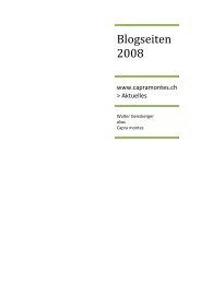 Atelierjournal 2008 PDF - Capramontes / Walter Geissberger