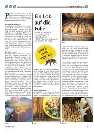 Ein Lob auf die Folie (PDF