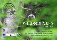 WILDNIS NEWS - Wildnisgebiet Dürrenstein