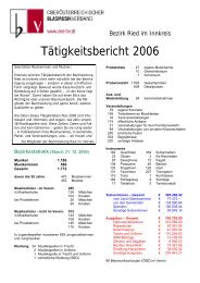 Tätigkeitsbericht 2006 - Ried im Innkreis