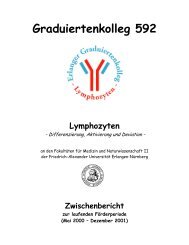 Graduiertenkolleg 592 Lymphozyten - DFG-Graduiertenkolleg 1660