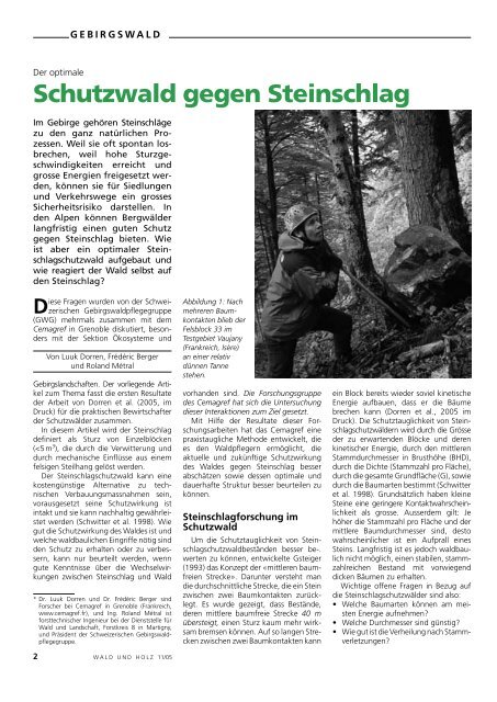 Schutzwald gegen Steinschlag - ecorisQ