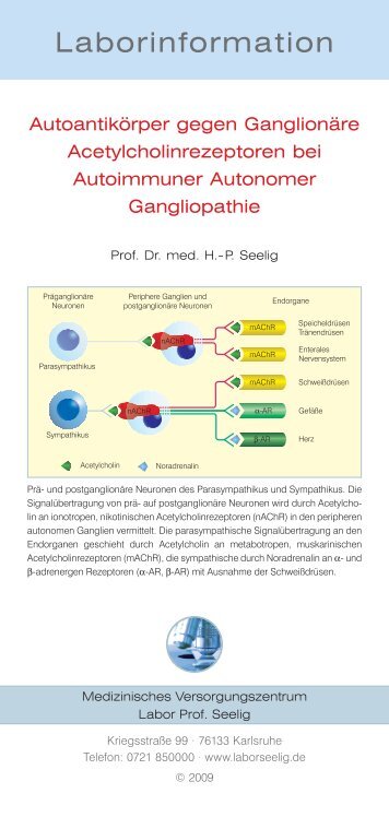 Autoantikörper gegen Ganglionäre Acetylcholinrezeptoren bei