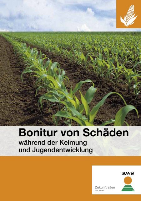 Bonitur von Schäden - cultivent - Kompetenzberatung von KWS