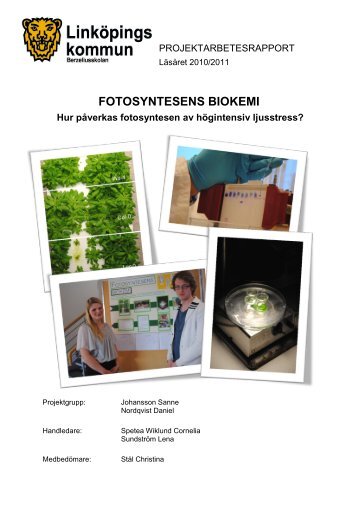 FOTOSYNTESENS BIOKEMI