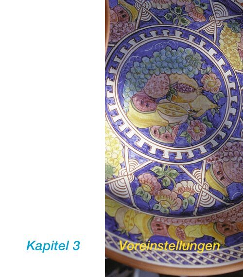 Handbuch mit allen Kapiteln - LaserSoft Imaging