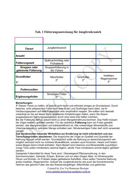 Kronenkranich - Akademie für Tierschutz