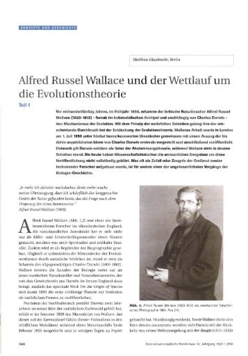 download pdf - Museum für Naturkunde