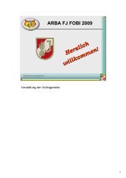 Landestreffen 2009 + 2010 - Niederösterreichische Feuerwehrjugend