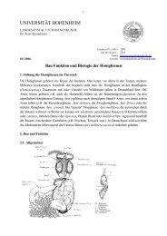 Bau Funktion und Biologie der Honigbienen, PDF. - Landesanstalt ...