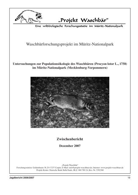 Vorpommern Jagdjahr 2006/2007 - Projekt Waschbär