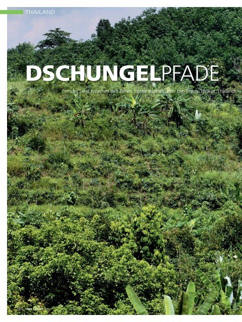 DSCHUNGELPFADE - Siam Bike Tours