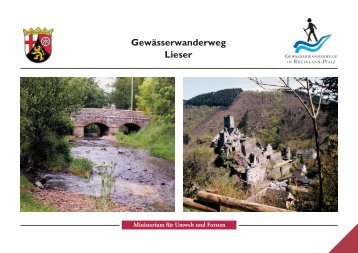 Gewässerwanderweg Lieser - Wasserwirtschaftsverwaltung ...