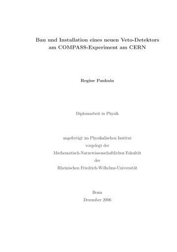 Bau und Installation eines neuen Veto-Detektors ... - Compass - CERN