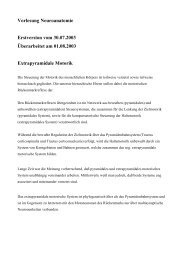 Vorlesung Neuroanatomie Erstversion vom 30.07.2003 Überarbeitet ...