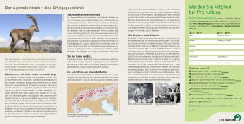 Der Alpensteinbock - eine Erfolgsgeschichte» (pdf) - Pro Natura