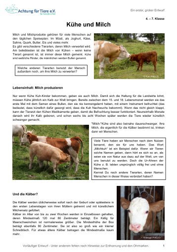 Kühe und Milch - Achtung für Tiere