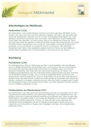 Naturdenkmäler downloaden (PDF) - Naturpark Mühlviertel