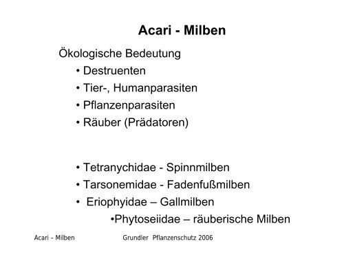 Acari - Milben