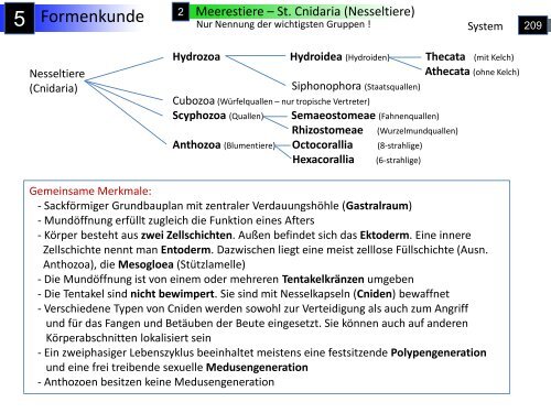 Formenkunde