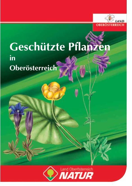 Buch - Geschützte Pflanzen in Oberösterreich