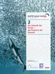 Die Zukunft der Fische – die Fischerei der Zukunft - World Ocean ...