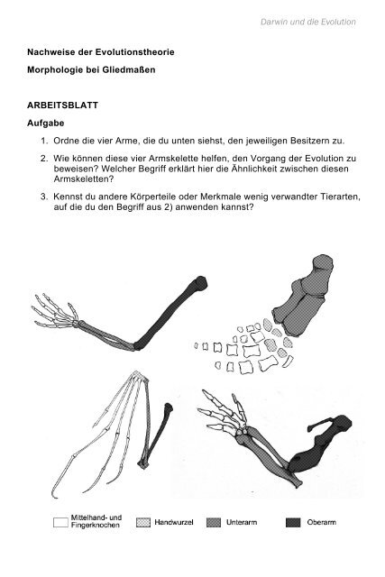 Darwin und die Evolution - Focus-multimedia