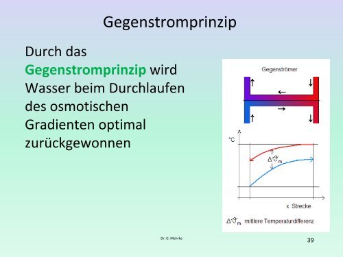 Nierenfunktion