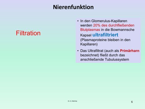 Nierenfunktion