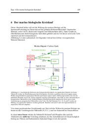 Kap. 6 Der marine biologische Kreislauf - PDF File