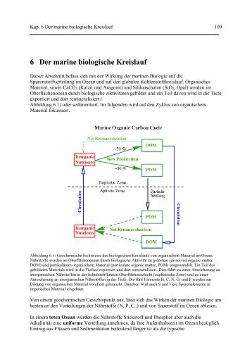 Kap. 6 Der marine biologische Kreislauf - PDF File