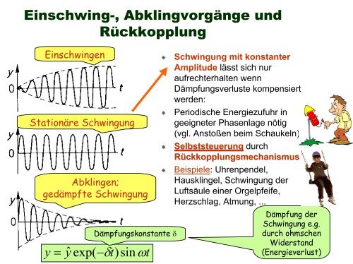 V18 - Physik