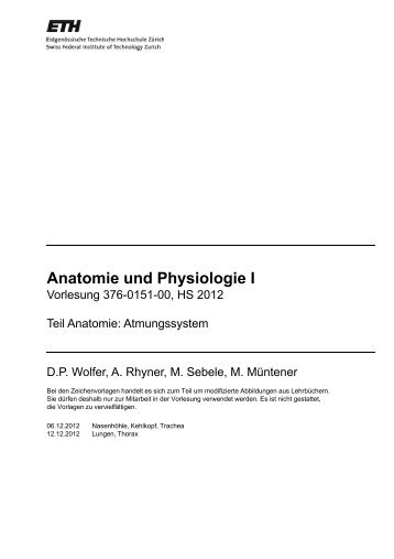 PDF 4.08M - Dpwolfer.ch