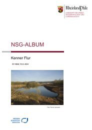 NSG-Album „Kenner Flur“ - LUWG