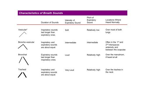 Adventitious Lung Sounds Chart